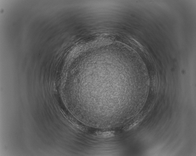 X0000068810553200605121253