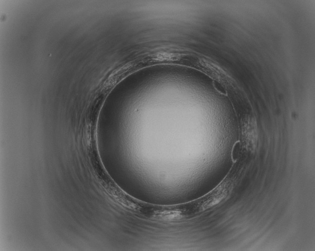 X0000068810554200605121253