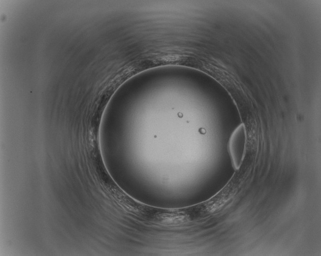 X0000068810555200605121253