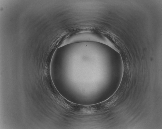 X0000068810556200605121253