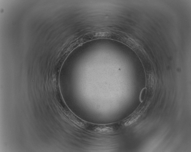 X0000068810557200605121253