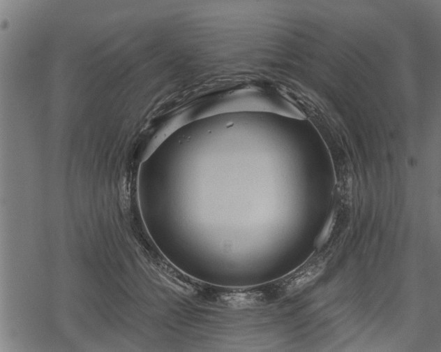 X0000068810558200605121253