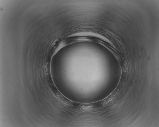 X0000068810560200605121253