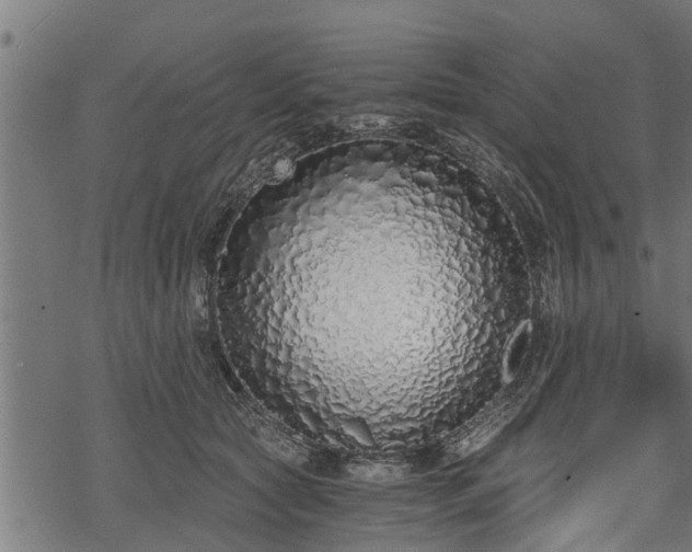 X0000068810561200605121253