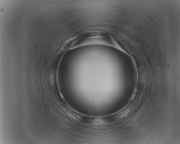 X0000068810562200605121253