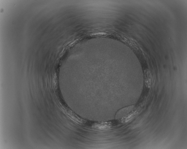 X0000068810563200605121253