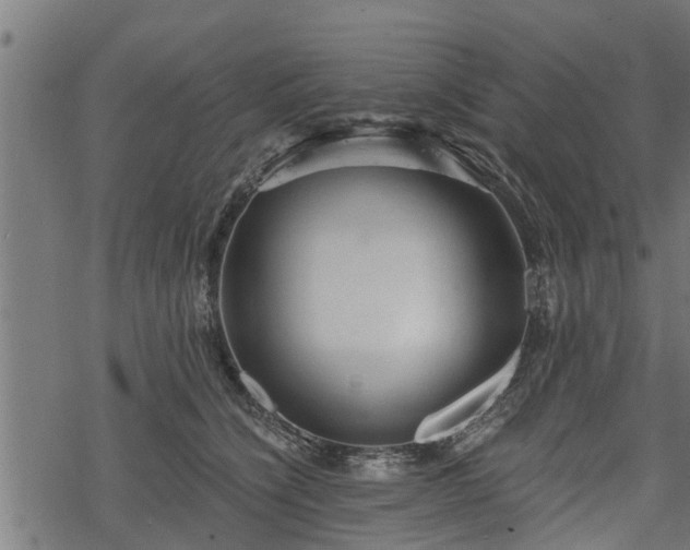 X0000068810564200605121253