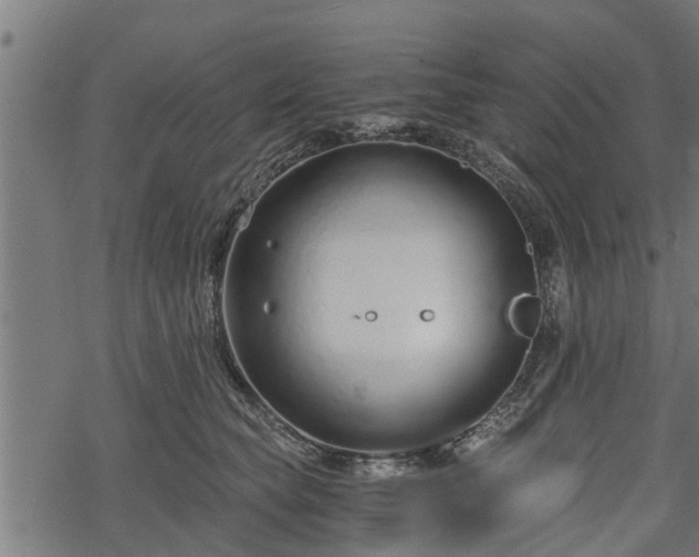 X0000068810565200605121253