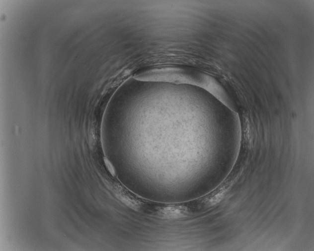 X0000068810566200605121253