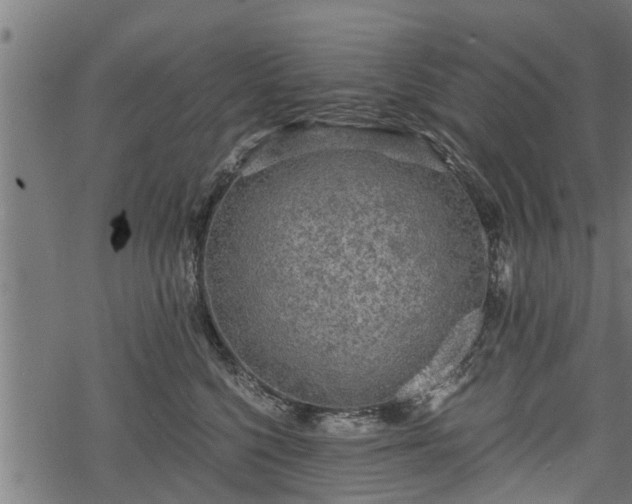 X0000068810568200605121253