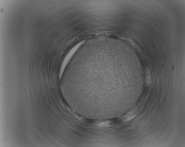 X0000068810569200605121253