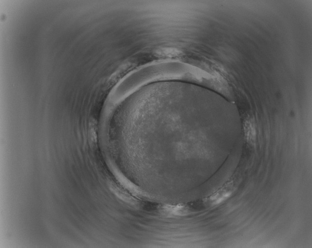 X0000068810570200605121253