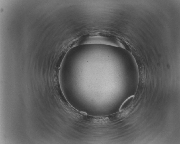 X0000068810571200605121253