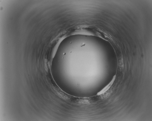 X0000068810572200605121253