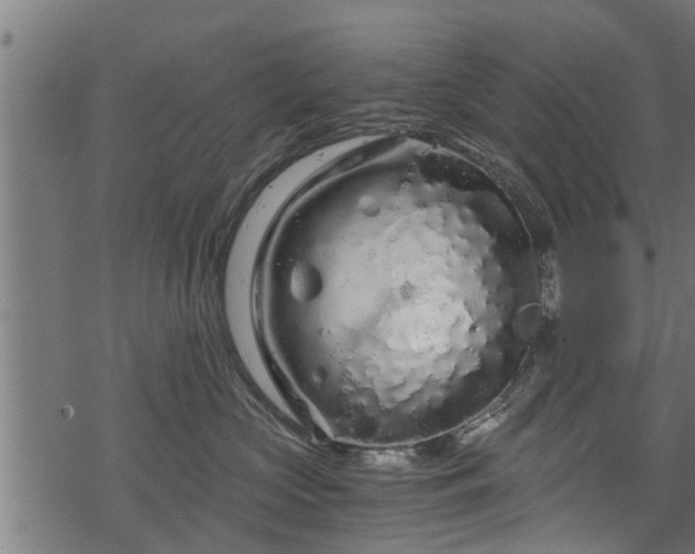 X0000068810573200605121253