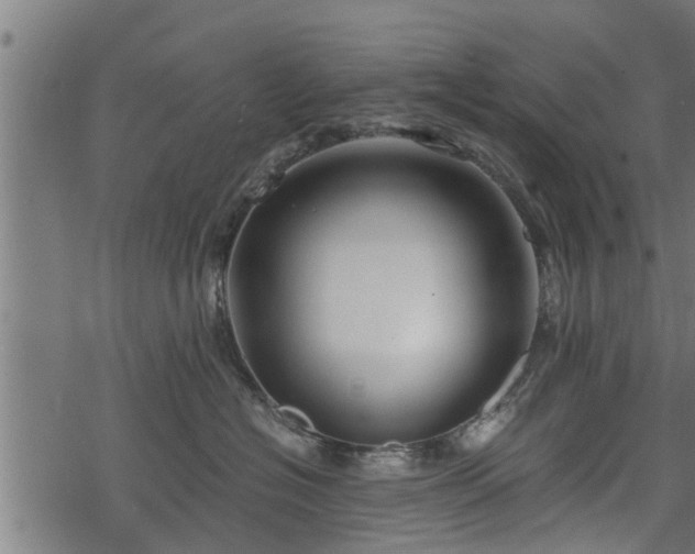 X0000068810574200605121253