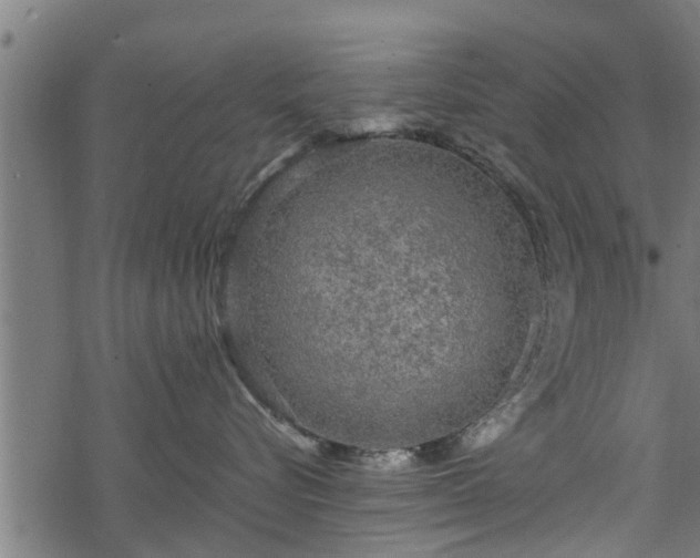 X0000068810576200605121253