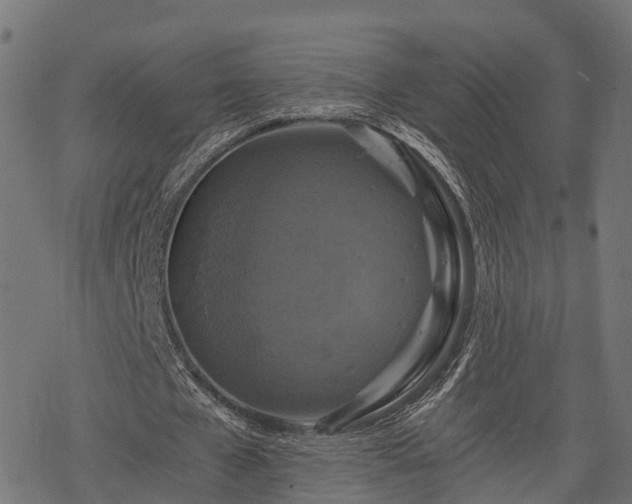 X0000068810577200605121253