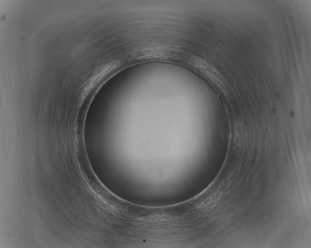 X0000068810578200605121253