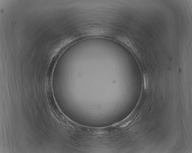 X0000068810579200605121253