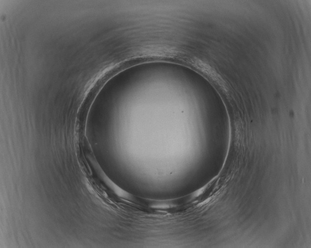 X0000068810580200605121253