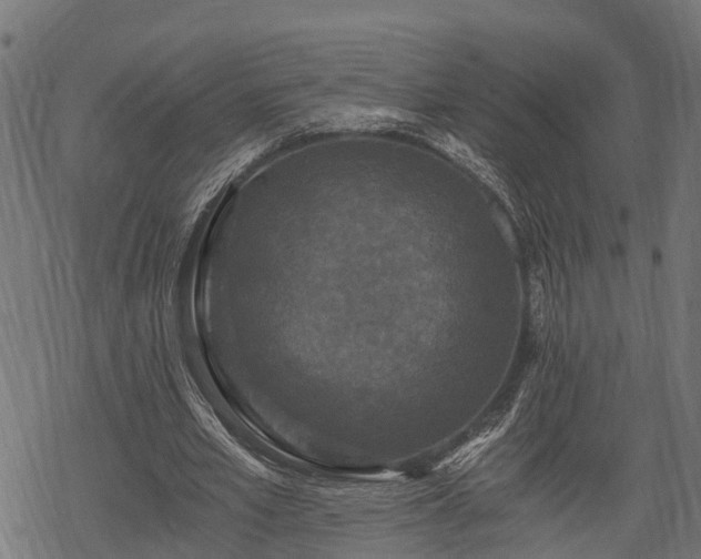 X0000068810581200605121253