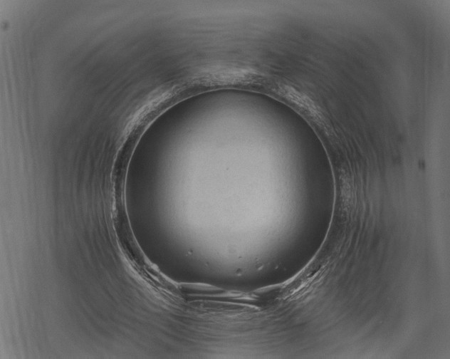 X0000068810582200605121253