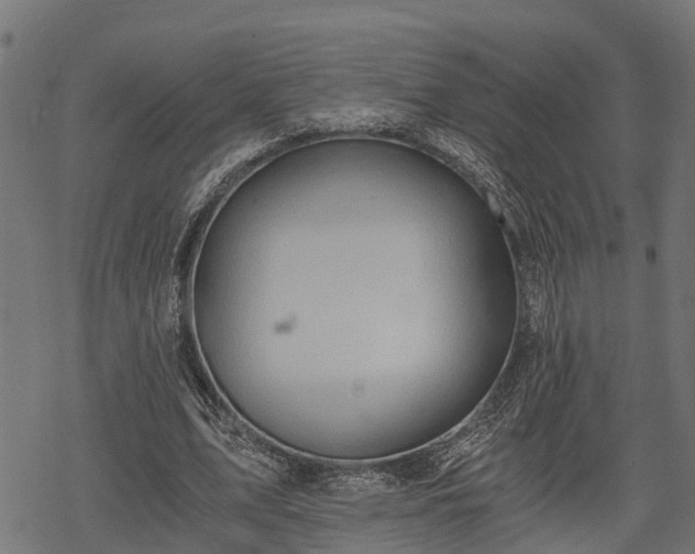 X0000068810583200605121252