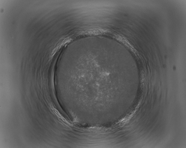 X0000068810585200605121252