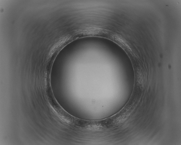 X0000068810586200605121252