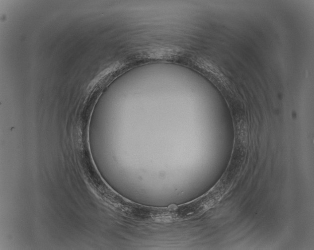 X0000068810587200605121252