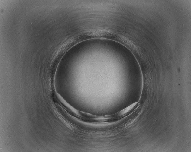 X0000068810589200605121252