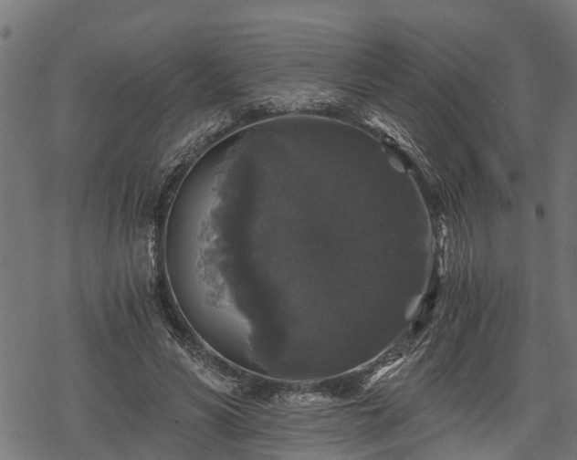 X0000068810590200605121252