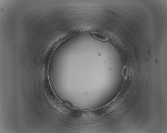 X0000068810591200605121252