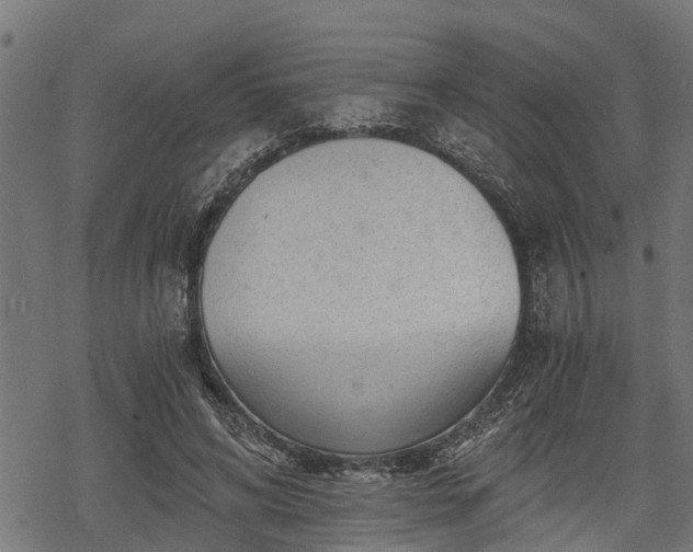 X0000068810592200605121252