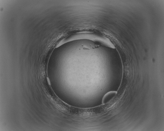 X0000068810593200605121252