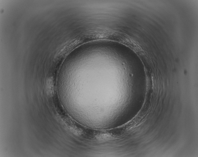 X0000068810594200605121252