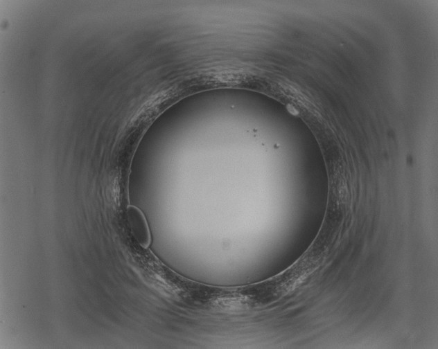 X0000068810595200605121252