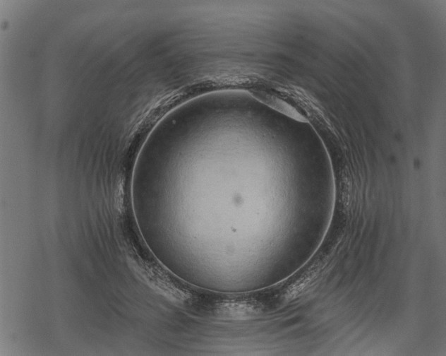 X0000068810596200605121252