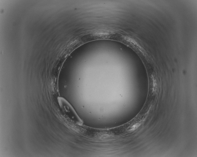 X0000068810597200605121252