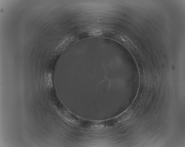 X0000068810598200605121252