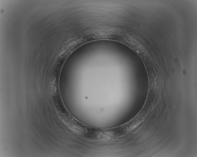 X0000068810599200605121252