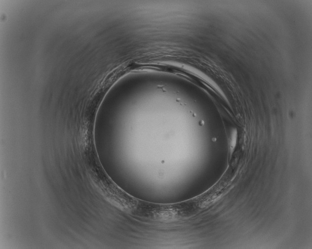 X0000068810600200605121252