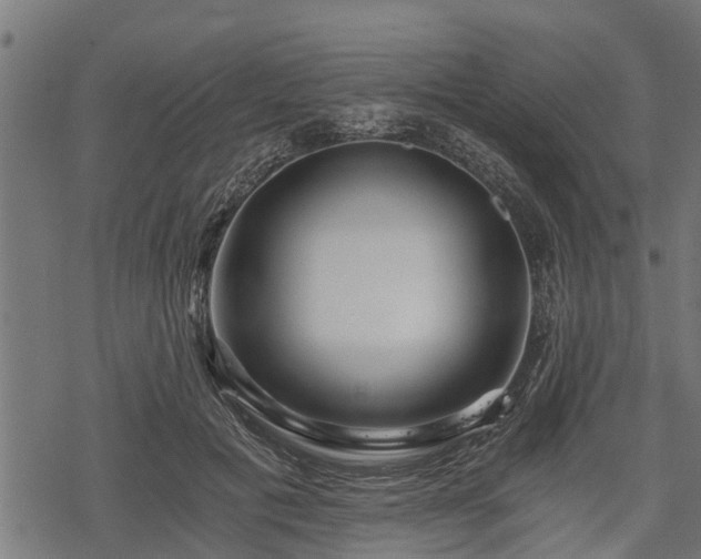 X0000068810601200605121252