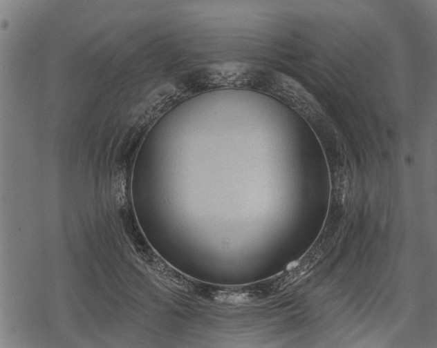 X0000068810602200605121252