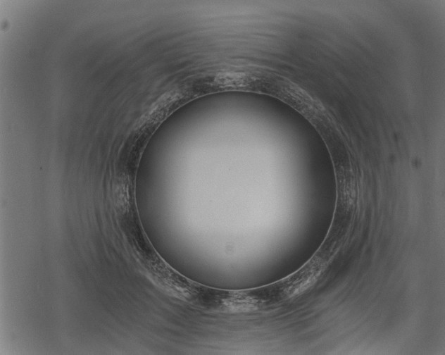 X0000068810603200605121252