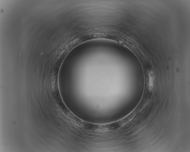 X0000068810604200605121252