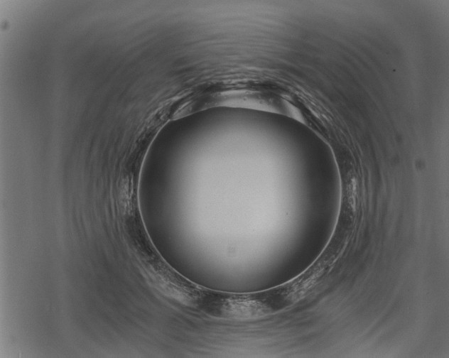 X0000068810605200605121252