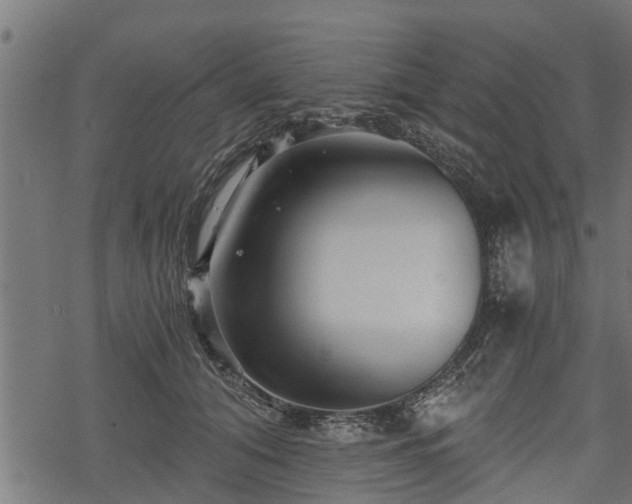 X0000068810608200605121252