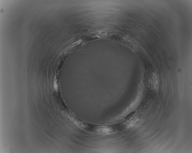 X0000068810610200605121252